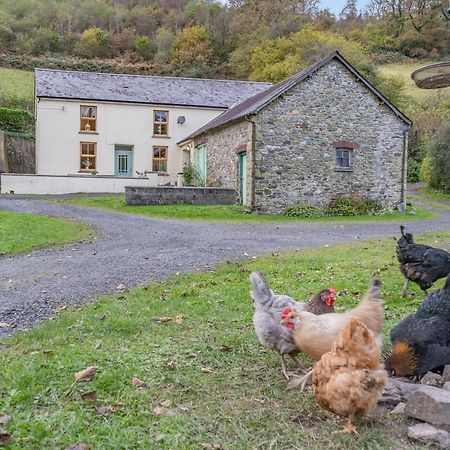 Pwll Farmhouse Llanllawdog Dış mekan fotoğraf