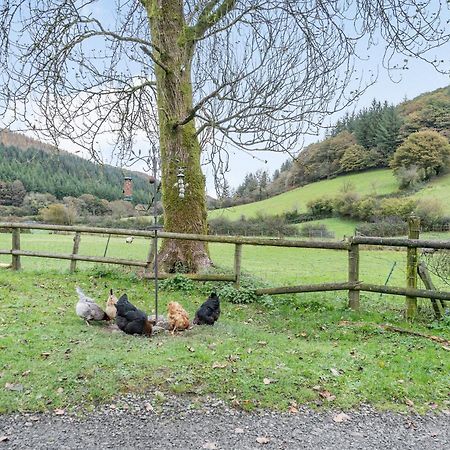 Pwll Farmhouse Llanllawdog Dış mekan fotoğraf
