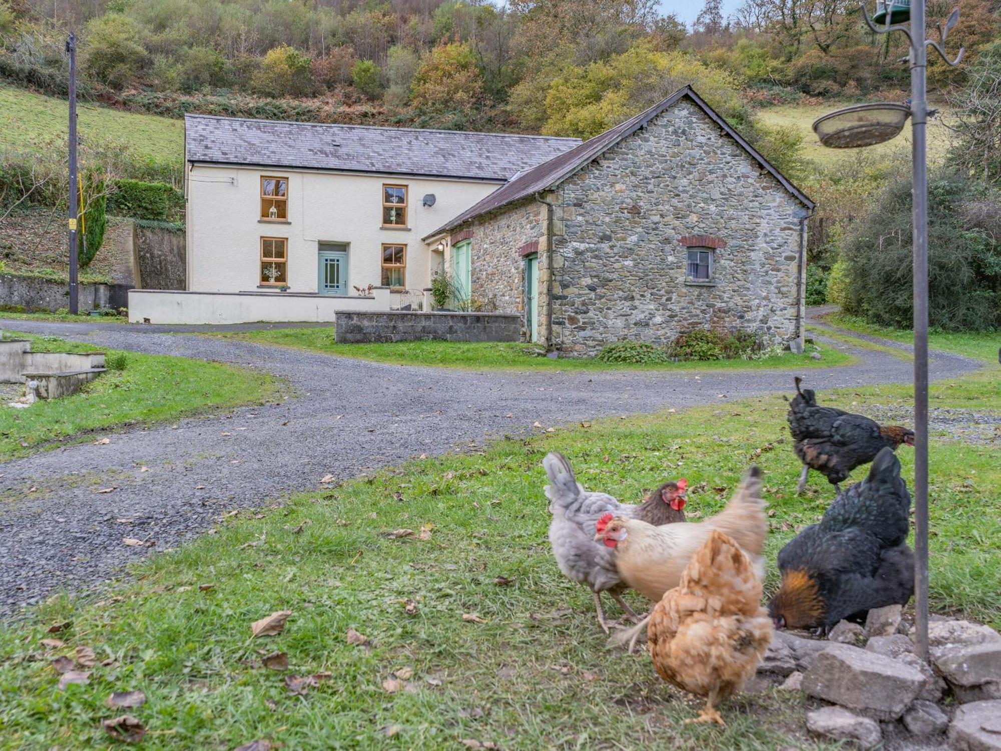 Pwll Farmhouse Llanllawdog Dış mekan fotoğraf
