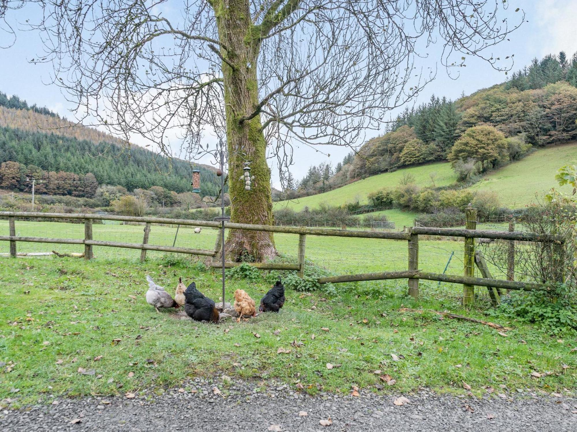 Pwll Farmhouse Llanllawdog Dış mekan fotoğraf