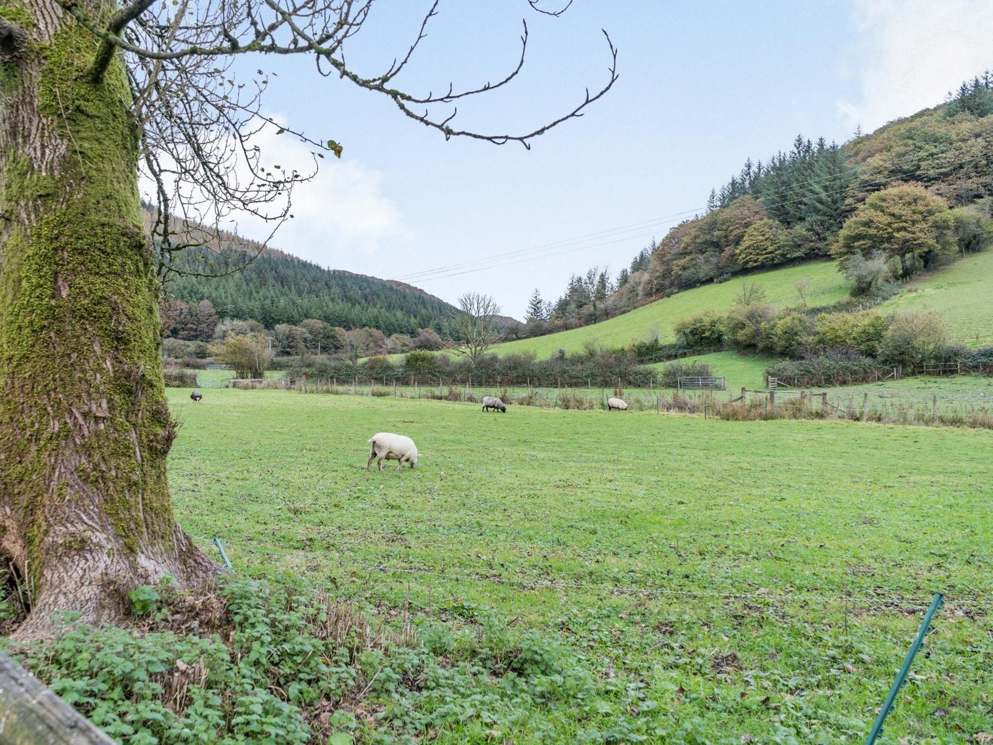 Pwll Farmhouse Llanllawdog Dış mekan fotoğraf